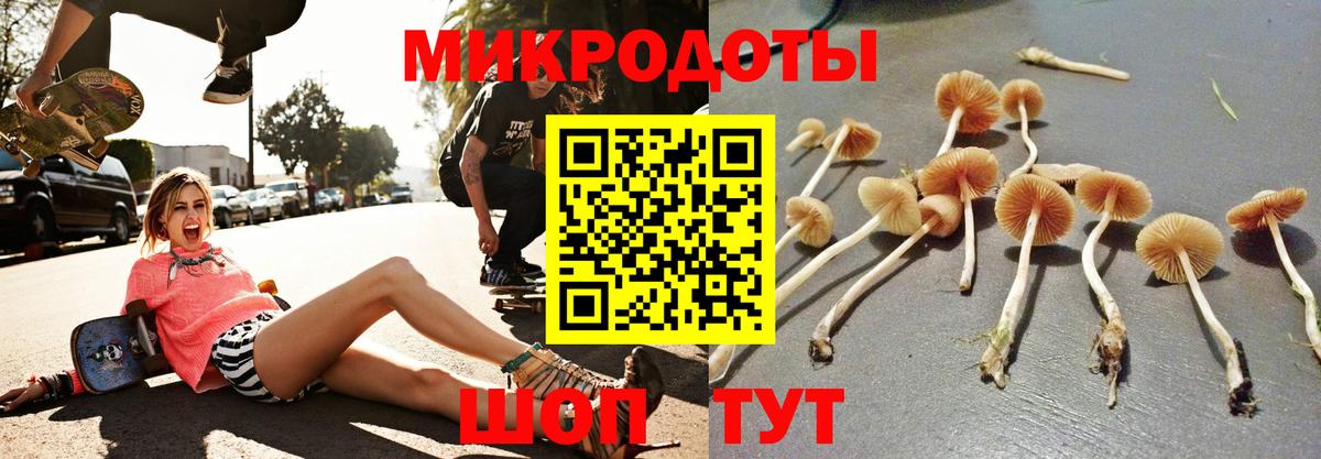 Галлюциногенные грибы прущие грибы Карталы